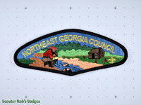 Northeast Georgia Council